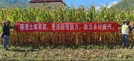 尊时凯龙·Z6(中国区)人生就是拼搏!