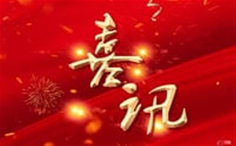 七个标，，，，，总计超4000万！——区调队（容大集团）中标2024年度地质灾难综合治理项目